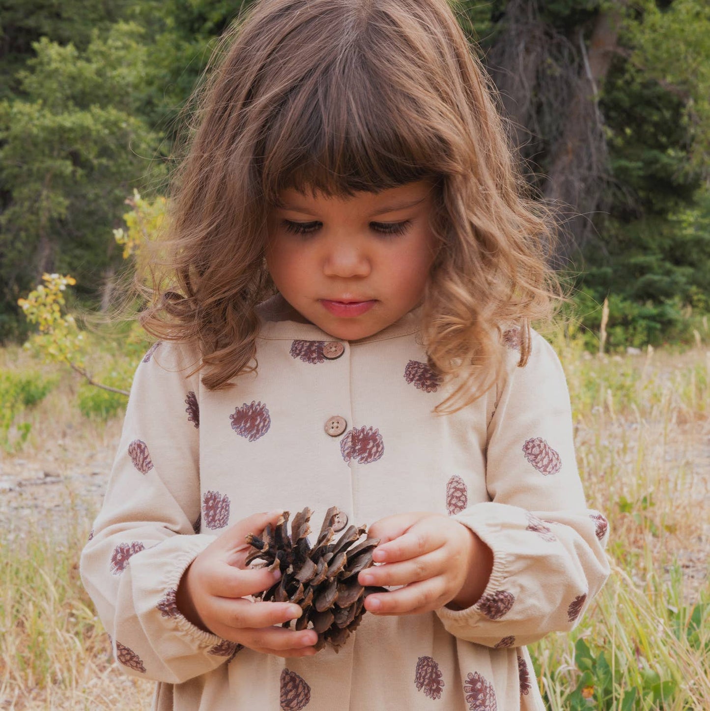Button Down Dress- Pinecones