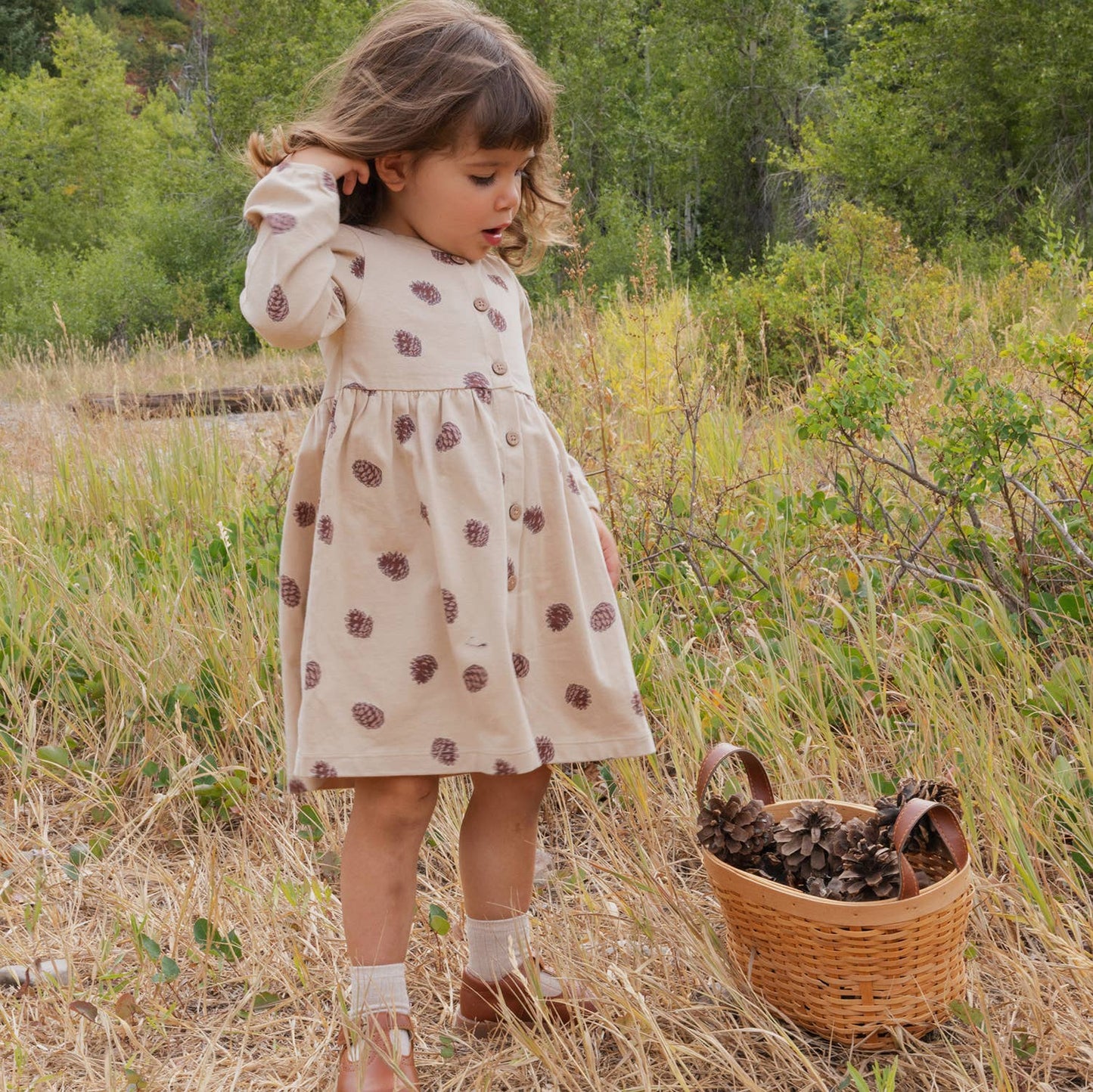 Button Down Dress- Pinecones