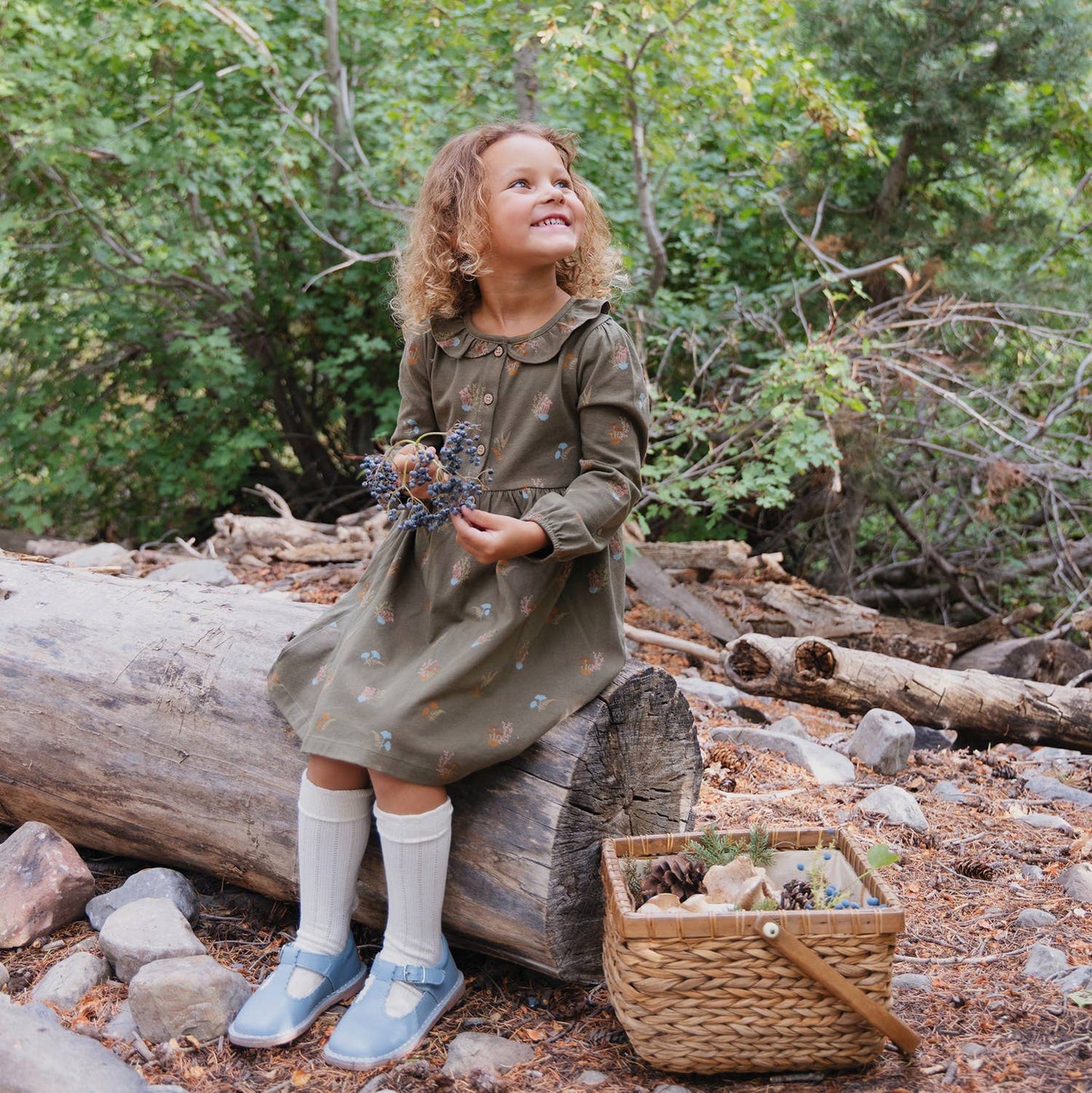 Frill Collar Dress- Lichen Mushrooms