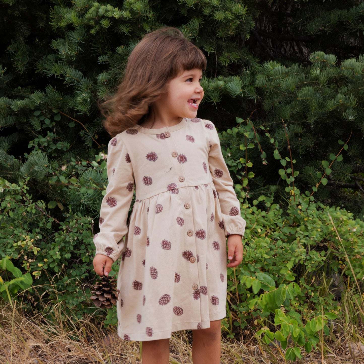 Button Down Dress- Pinecones