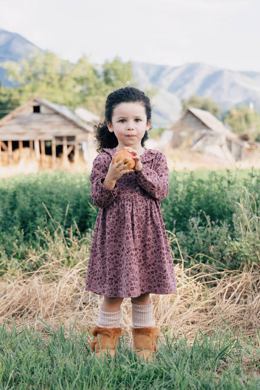 Frill Collar Dress - Fall Plum Birds