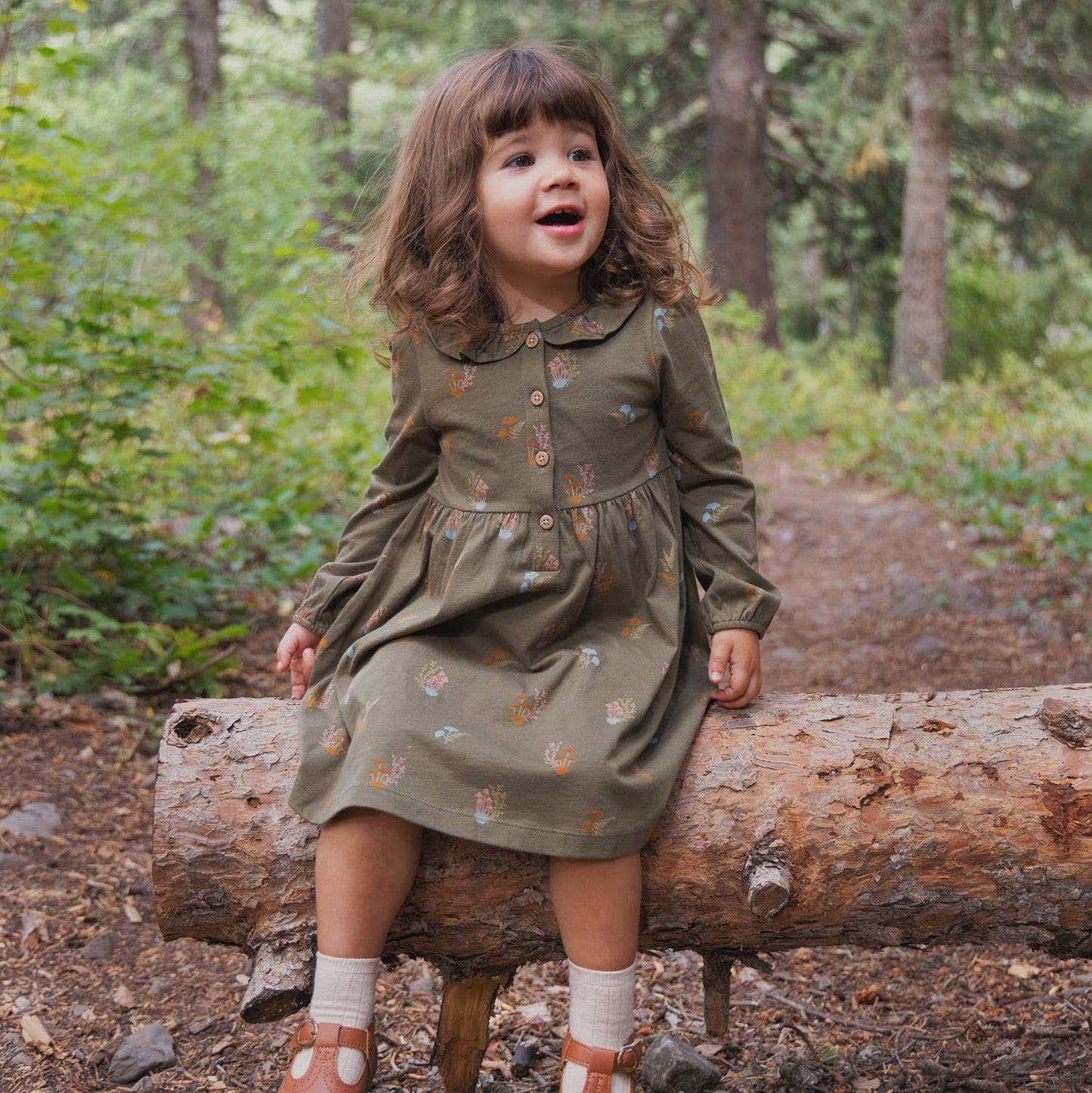 Frill Collar Dress- Lichen Mushrooms