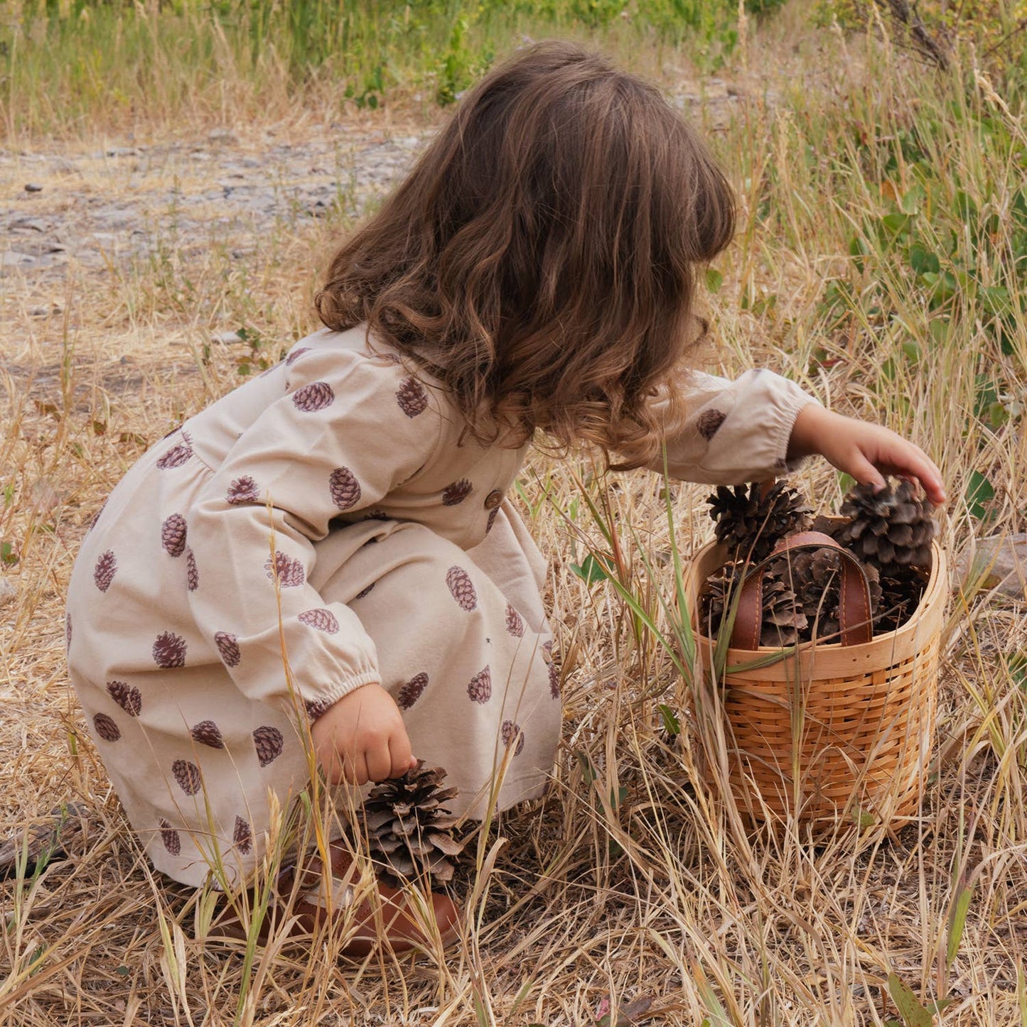 Button Down Dress- Pinecones