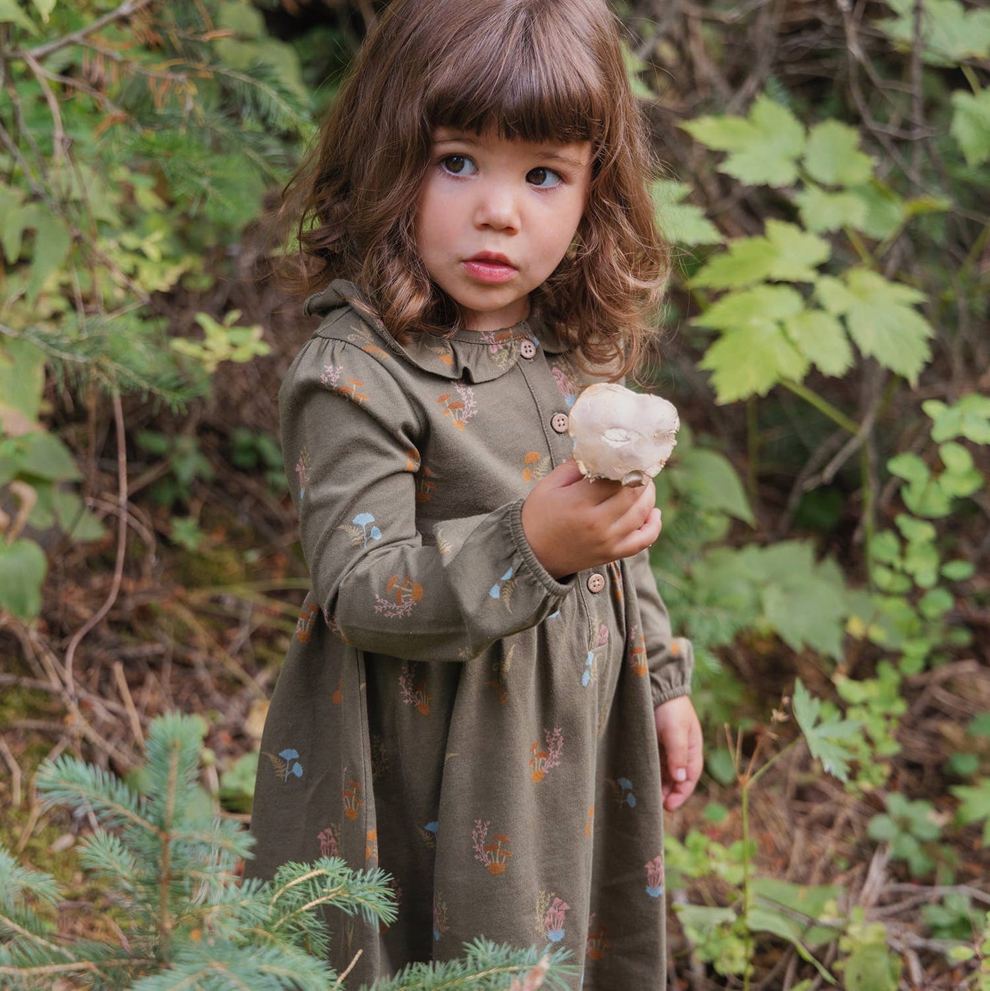 Frill Collar Dress- Lichen Mushrooms